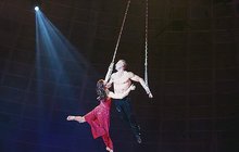 Horor v cirkuse: Artistka přežila pád z 10 metrů!
