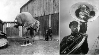 Život v cirkusu před 100 lety hraničil se zločiny na zvířatech i lidech