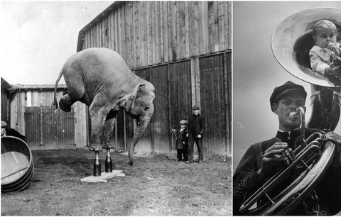 Zneužívání zmrzačených zvířat i postižených lidí. Tak vypadal život v cirkusu před 100 lety 