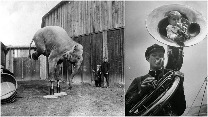 Cirkus býval sbírka lidí, jež nikde jinde nechtěli, a zvířat, která už nikdy neměla poznat svobodu.