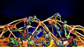 Tohle stojí za vidění! Cirque du Soleil s představením Totem, balety Oněgin a Timeless