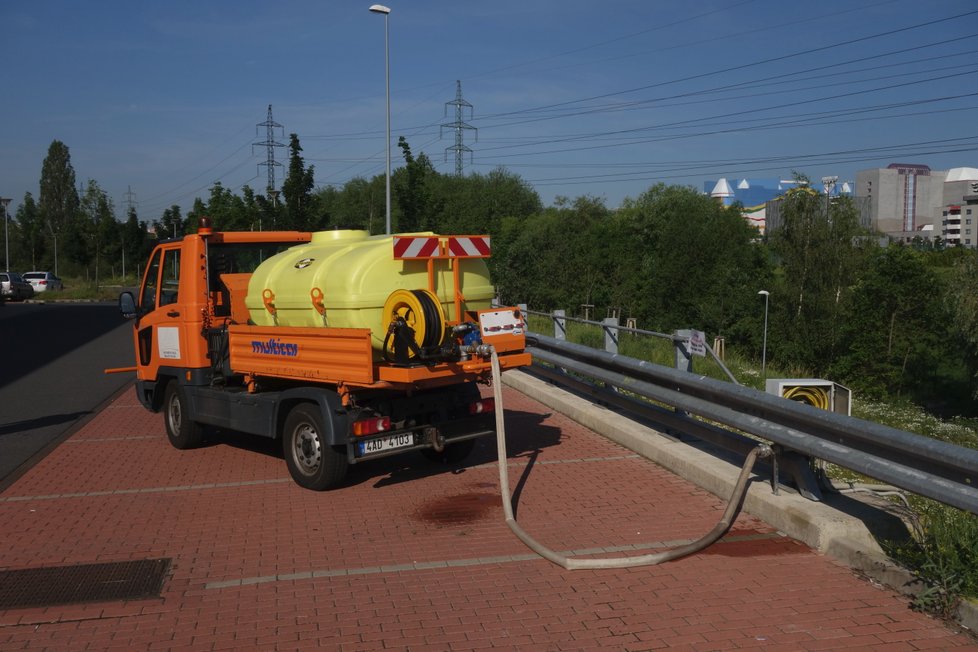 Praha 11 v období nejvyšších such zalévala rostliny dešťovou vodou. (26.6.2019)