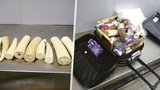 Suvenýr nebo ilegální kontraband? Celníci varují před exotickými dárky z dovolené