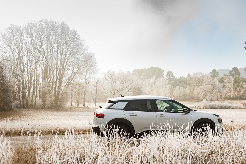 Citroën C4 Cactus