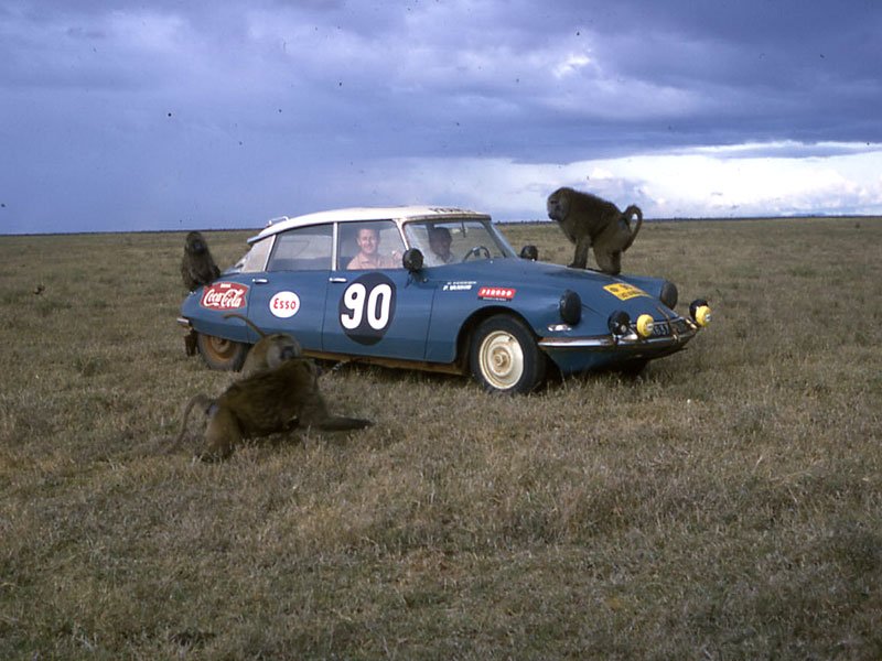 Citroën DS