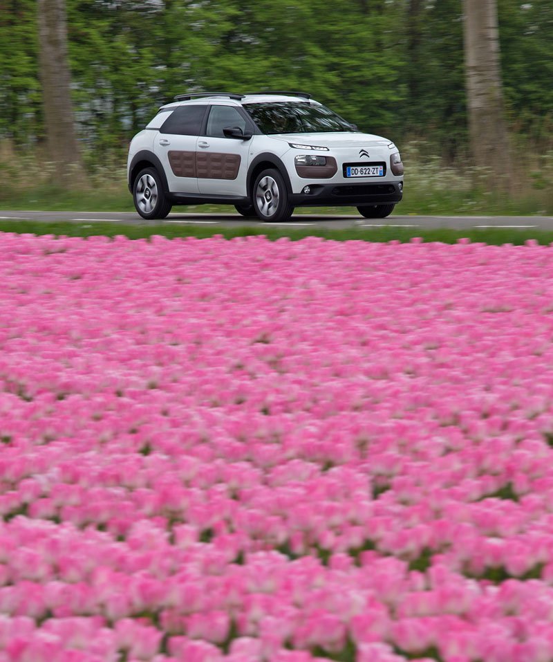 Citroën C4 Cactus