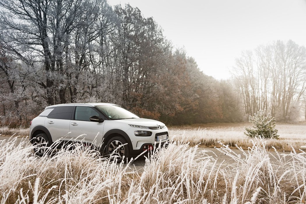 Citroën C4 Cactus