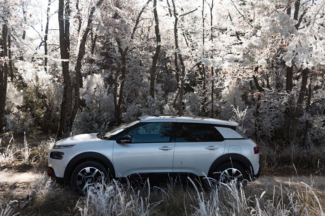 Citroën C4 Cactus