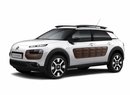 Citroën chce nabízet C4 Cactus za měsíční paušál