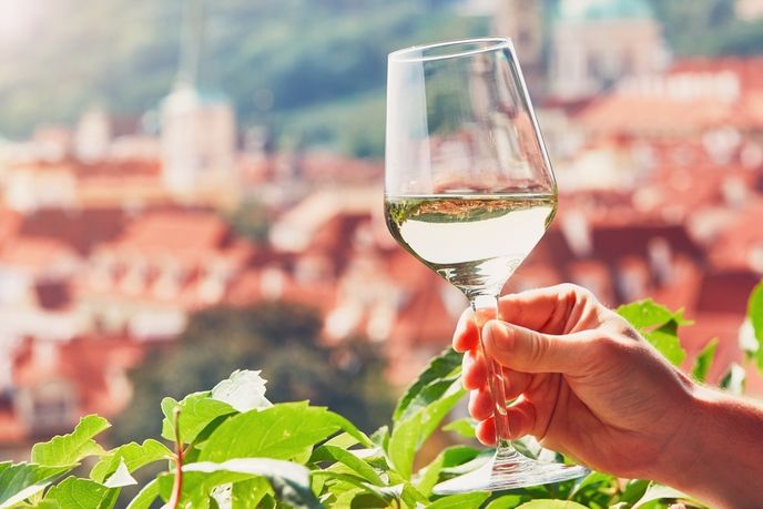 Svůj vztah k pravidelnému popíjení vína můžete otestovat Svůj vztah k pravidelnému popíjení vína můžete otestovat