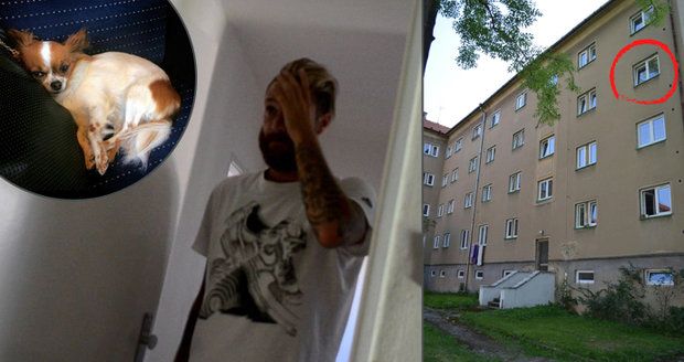 Vyhodil čivavu (†6) z okna: Známý fotbalista Skoupý dostal za svou zuřivost rok vězení s podmínkou