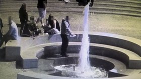 Cizinec nalil saponát do fontány v Plzni.