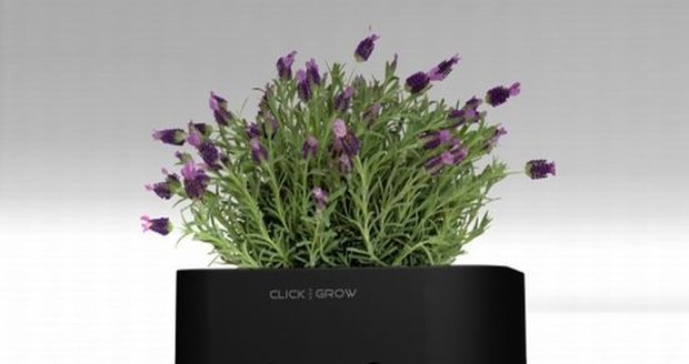 Click & Grow system vás už nenchá zabít žádnou rostlinu.
