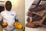 Pěstitel kakaových bobů Ousmane Traore z Pobřeží slonoviny popsal, jak je taková profese těžká.