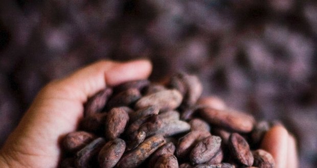 Čokoládový festival nabízí nepřeberné množství druhů kakaových sladkostí a čokolád