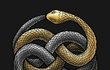 Symbol vládkyně říše Fantazie Auryn, dva propletené hady, už Hathaway tetovat nechce.