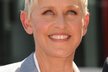 Slavná americká komička a moderátorka Ellen DeGeneres je ikonou lesbické komunity. V USA běží již 10. sezóna jejího talk show pořadu The Ellen, do kterého si zve známé osobnosti. Čtyřiapadesátiletá moderátorka, která je vdaná za herečku Portiu De Rossi (známá ze seriálu Ally McBealová) mimo jiné moderovala  v roce 2007 udílení Oscarů. Bylo to tak vůbec poprvé, co se této cti dostalo někomu z LGBT komunity.