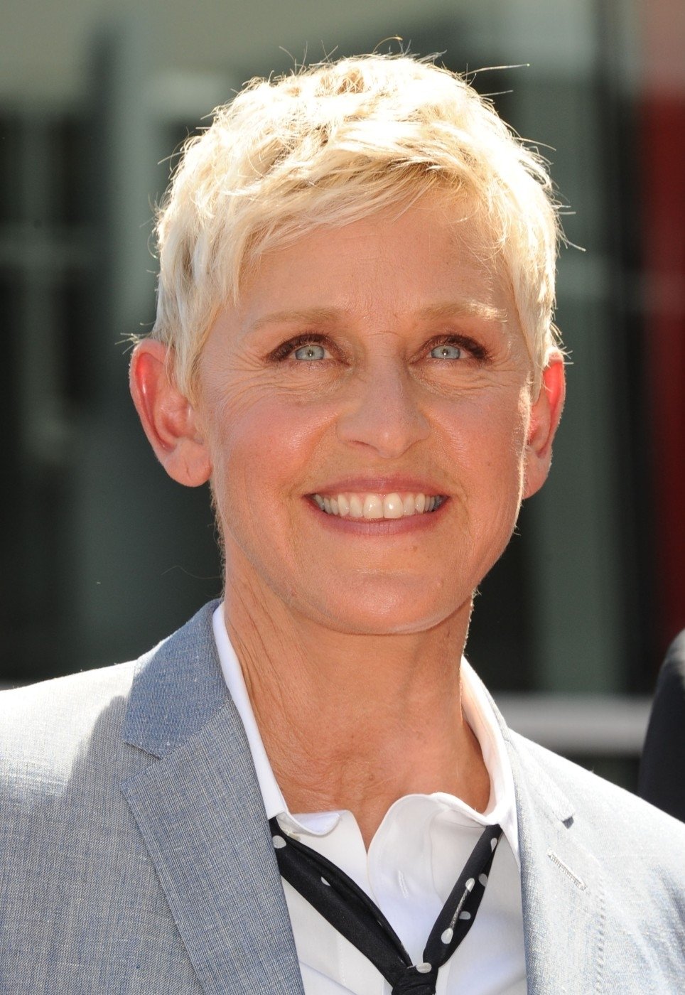 Slavná americká komička a moderátorka Ellen DeGeneres je ikonou lesbické komunity. V USA běží již 10. sezóna jejího talk show pořadu The Ellen, do kterého si zve známé osobnosti. Čtyřiapadesátiletá moderátorka, která je vdaná za herečku Portiu De Rossi (známá ze seriálu Ally McBealová) mimo jiné moderovala  v roce 2007 udílení Oscarů. Bylo to tak vůbec poprvé, co se této cti dostalo někomu z LGBT komunity.