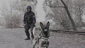 Policejní psi v akci: Zlodějíčci chtěli vykrást sklepy, Connor je našel během deseti vteřin