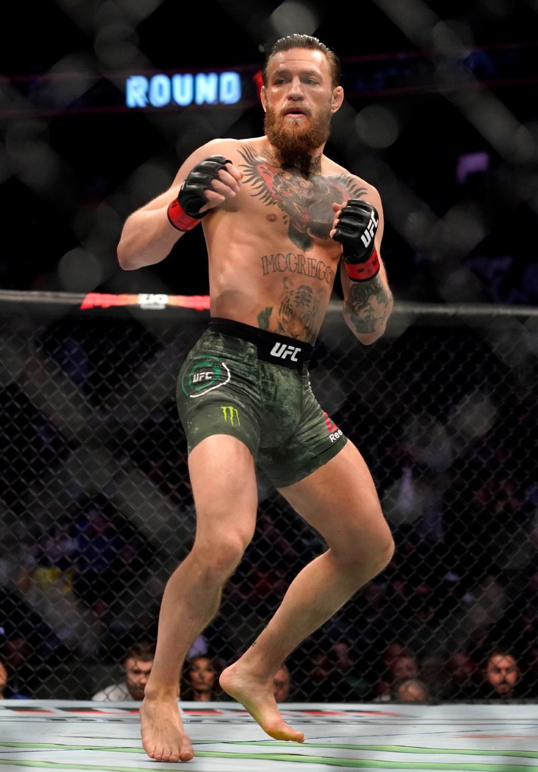 Zápasník Conor McGregor