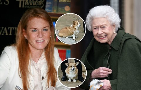 Snacha Alžběty II. (†96): Duch královny navštěvuje své psíky!