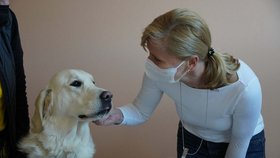 Ředitelka nemocnice Vladimíra Danihelková s psím terapeutem. Za pacienty budou docházet čtyřmi speciálně vycvičené fenky jednou týdně.
