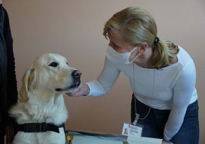Ředitelka nemocnice Vladimíra Danihelková s psím terapeutem. Za pacienty budou docházet čtyřmi speciálně vycvičené fenky jednou týdně.
