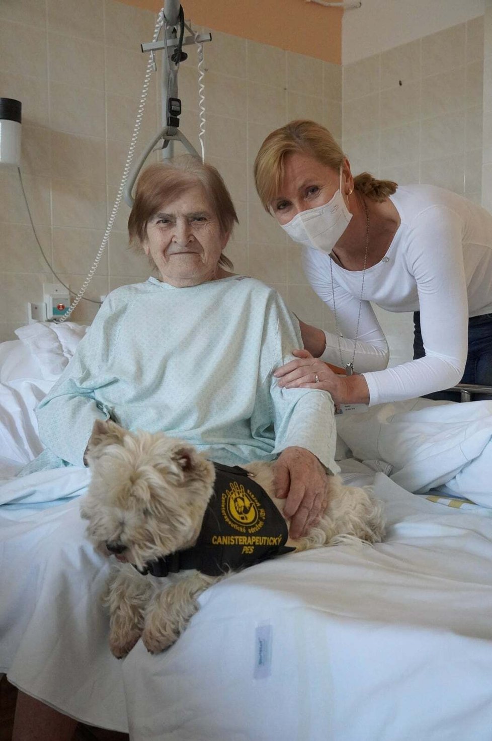 Nemocnice v Blansku po covidové pauze obnovila canisterapii na oddělení následné péče, cvičení psi tak znovu pomáhají s rehabilitací pacientů.