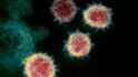Původce pandemie onemocnění COVID-19, virus SARS-CoV-2 na snímku z elektronového mikroskopu