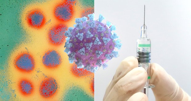 Vakcinolog o covidu, chřipce a RSV: Zachrání nás „trojvakcína“?