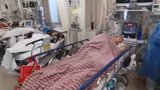 Podmínka a omluva: Trest za video s umírající matkou a slova o zabíjení pacientů 