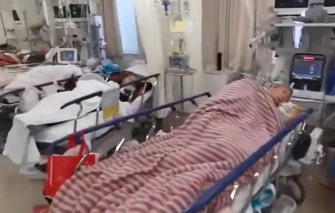 Podmínka a omluva: Trest za video s umírající matkou a slova o zabíjení pacientů 