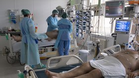 Péče o covidové pacienty v Anesteziologicko-resuscitační klinice v Thomayerově nemocnici v Praze (3. 3. 2021)