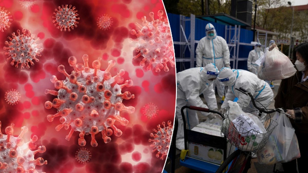 Pirola: Nová subvarianta omikronu znepokojuje vědce | Blesk.cz