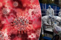 Vědce zneklidňuje nová varianta omikronu: „Pirola“ rychle obchází imunitu i po očkování