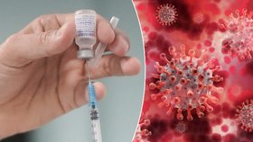 Počet nemocných covidem-19 v Česku stoupá, kdo by se měl nechat očkovat? (ilustrační foto)