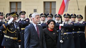 Prezident Petr Pavel přivítal na Pražském hradě gruzínskou hlavu státu Salome Zurabišviliovou. (11.12.2023)