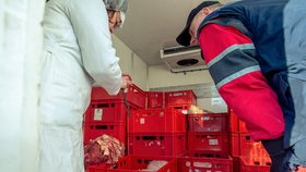 Veterináři společně s policií spustili důkladné kontroly masa dováženého z Polska. (5.2.2019)