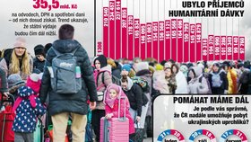 Infografika mapuje, jak Češi ukrajinské uprchlíky v Česku vnímají i jak cizinci čerpají státní podporu.