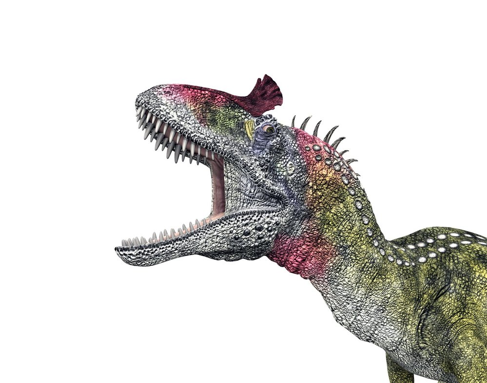 Cryolophosaurus běhal po Antarktidě. Už je to dost dávno