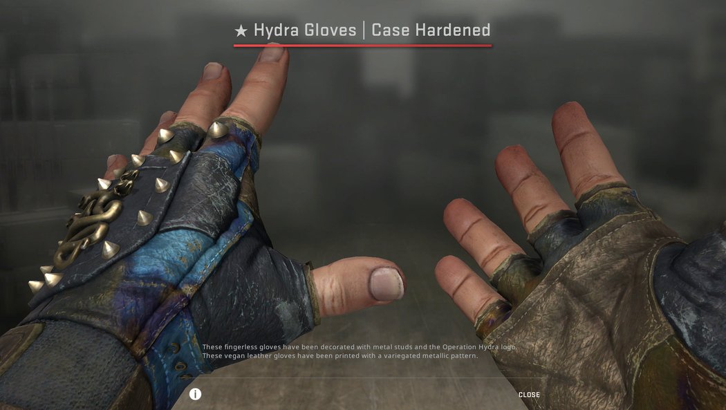 ★ Hydra Gloves | Case Hardened