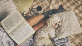 Čtení pro rodiče: 12 knižních tipů pod stromeček