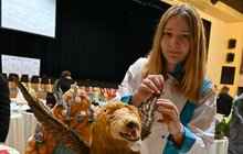 Cukrářka Lucie (17) vyhrála zlatou medaili: Za hřívu okřídleného lva!