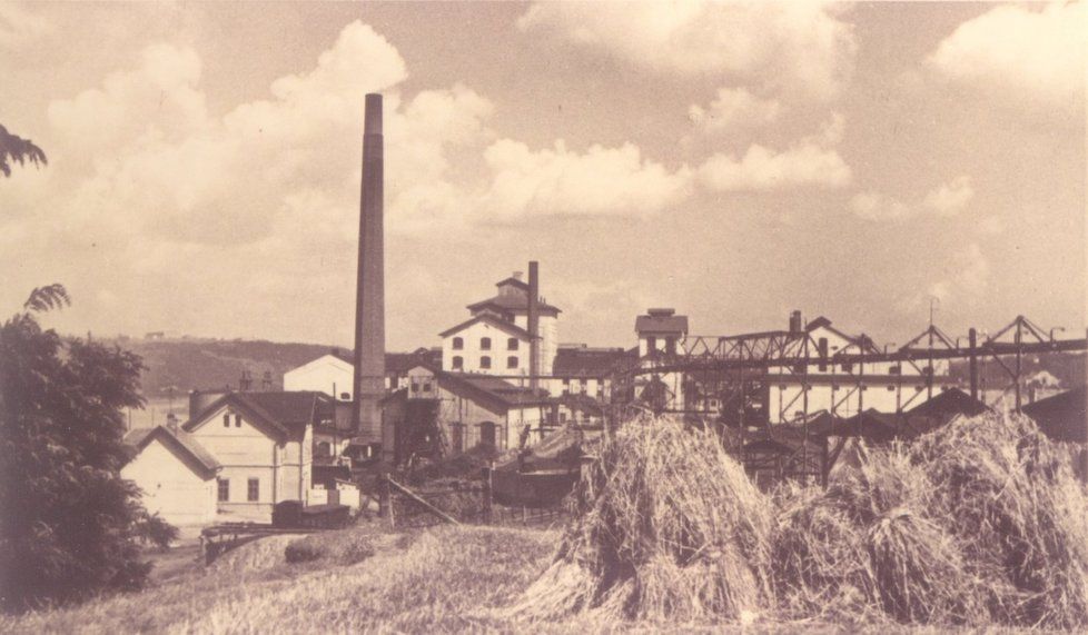 Pohled na cukrovar od jihu, rok 1944.