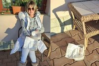 Záhadná krádež lineckého: Vlk, pes, kočka nebo srnčí gang?