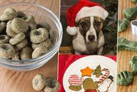 Vánoce domácích mazlíčků: Pozor na tyto potraviny! A recepty přímo pro psy a kočky