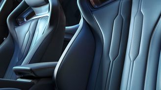 Cupra Leon VZ CUP Cupra Leon VZ CUP