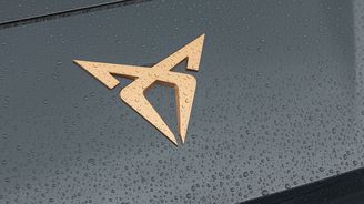 Cupra Raval Endurance Cupra Raval Endurance