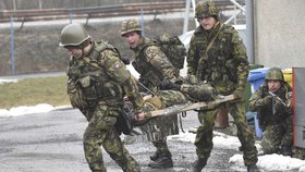 Vláda bude projednávat úpravu možností nasazování české armády v zahraničí.