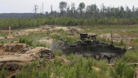 Cvičení NATO nazvané Saber Strike v Pobaltí a Polsku